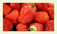 威斯尼斯人官网app下载施肥方案-草莓